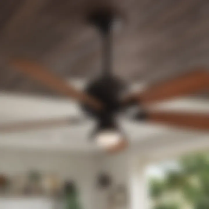 Variety of outdoor ceiling fan styles