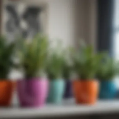 A collection of modern ceramic plant pots showcasing vibrant colors and unique shapes