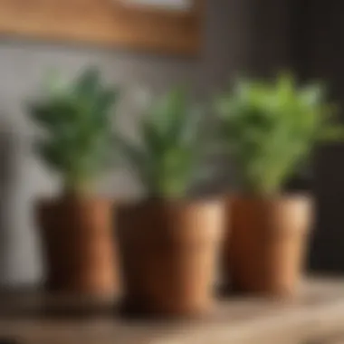 Sustainable wooden plant pots that complement natural home decor