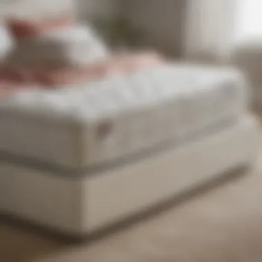 Close-up of trundle bed mattress showcasing comfort