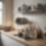 Modern dish drying rack in a chic apartment kitchen